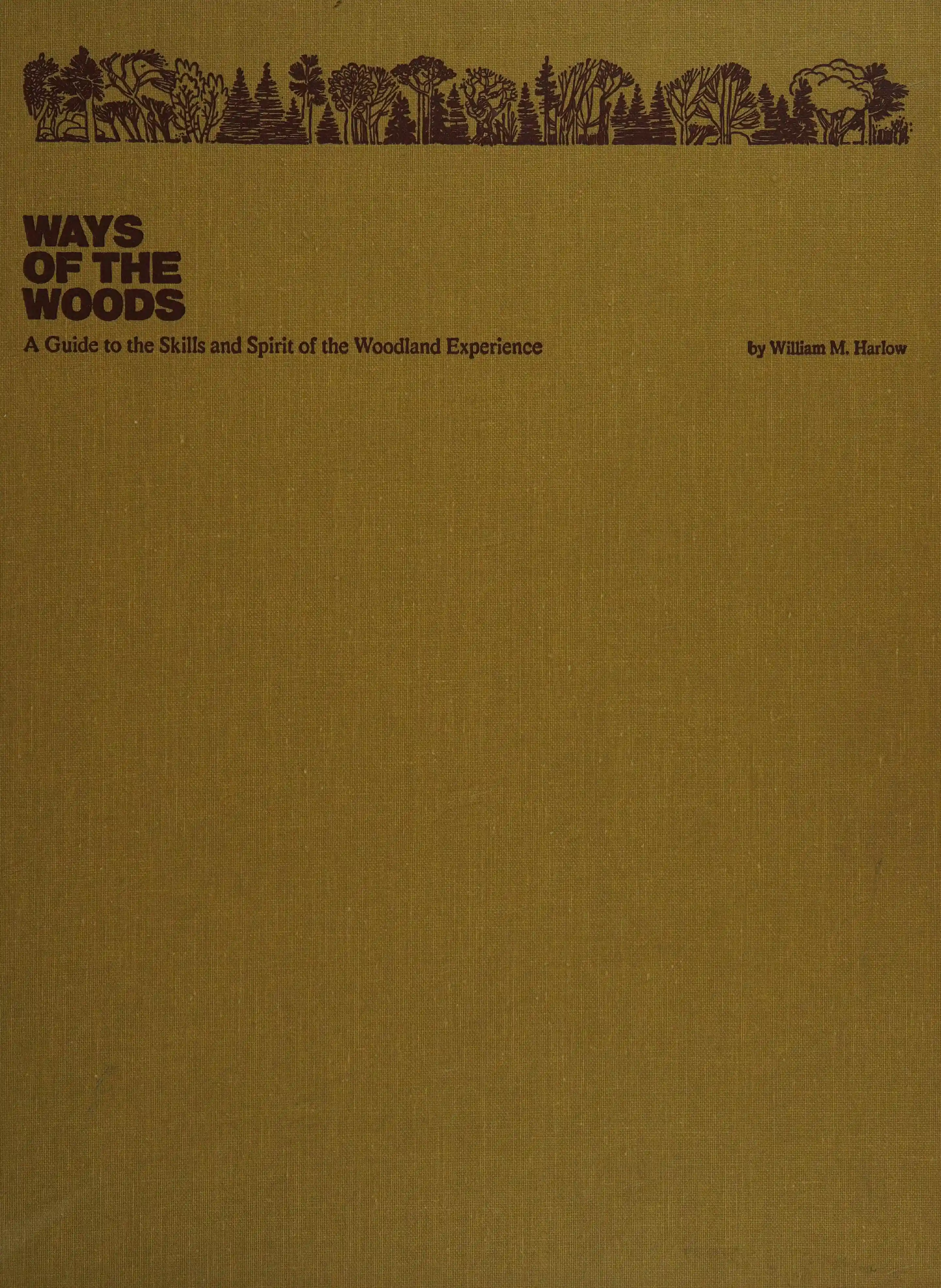 Structuring of experience