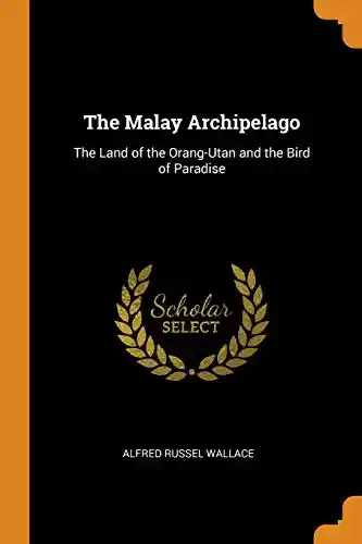 The essays on Euripides and George of Pisidia and on Heliodorus and Achilles Tatius