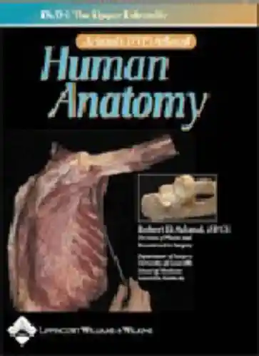 Experimental morphology
