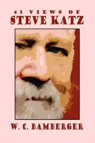 Law as a social system