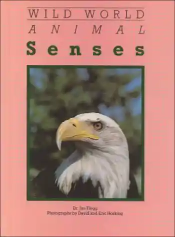 Video tape programs, 1988