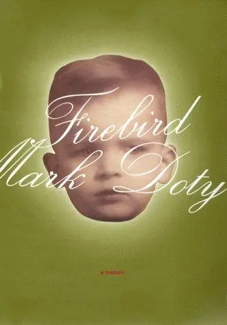 The dream of the unified field