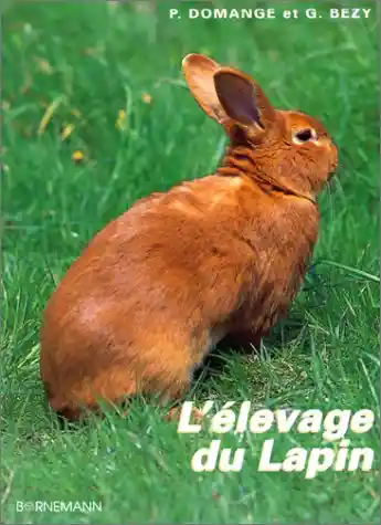 Regolazione e competizione
