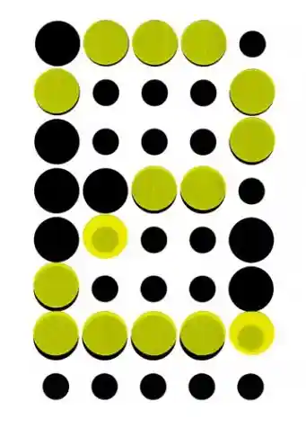 Algorithms and Data Structures: Proceedings