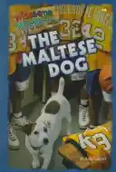 Viva mad
