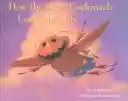 Rejoice