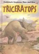 Pioneers of the air