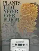 Newmen