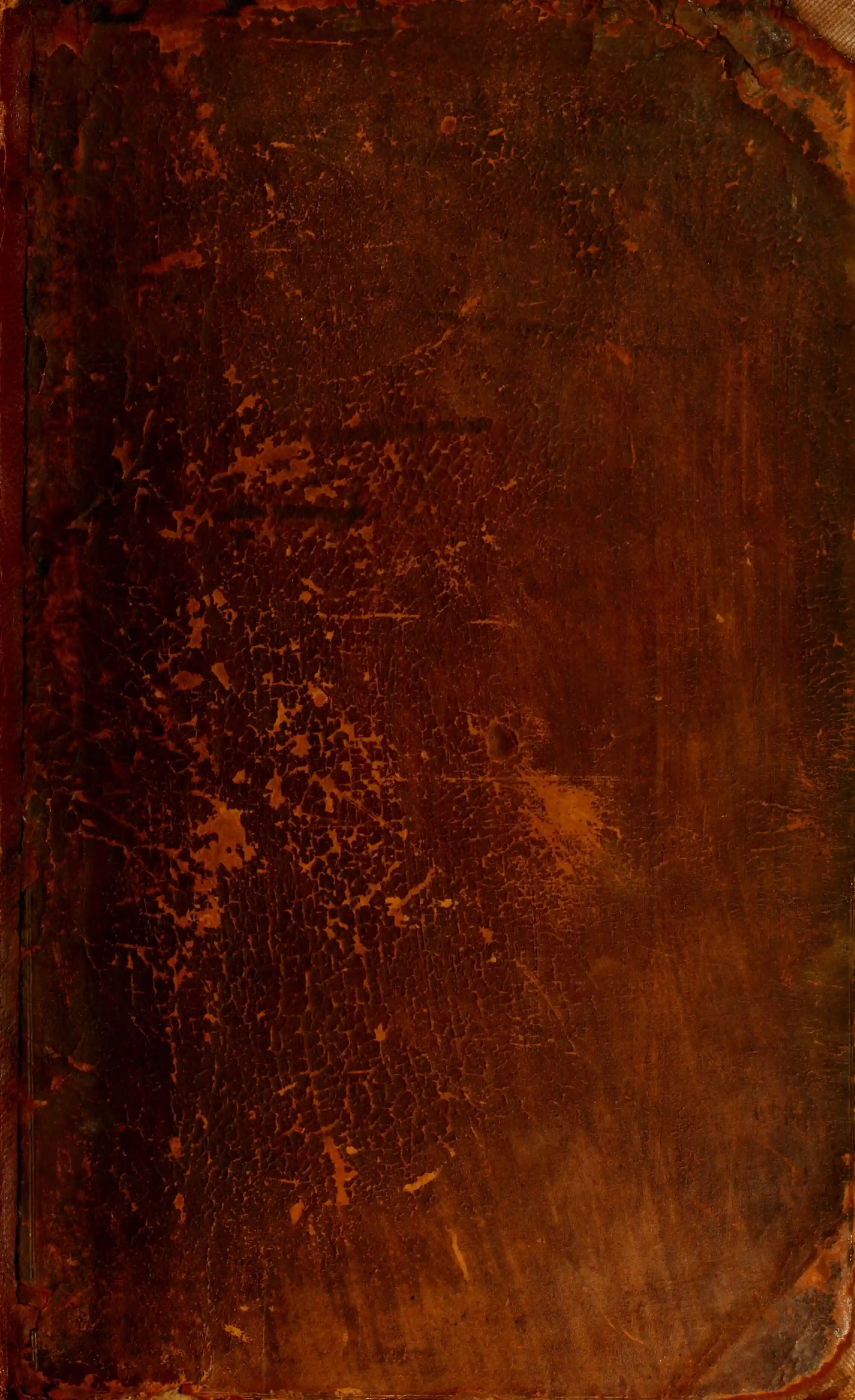Fragile Mask
