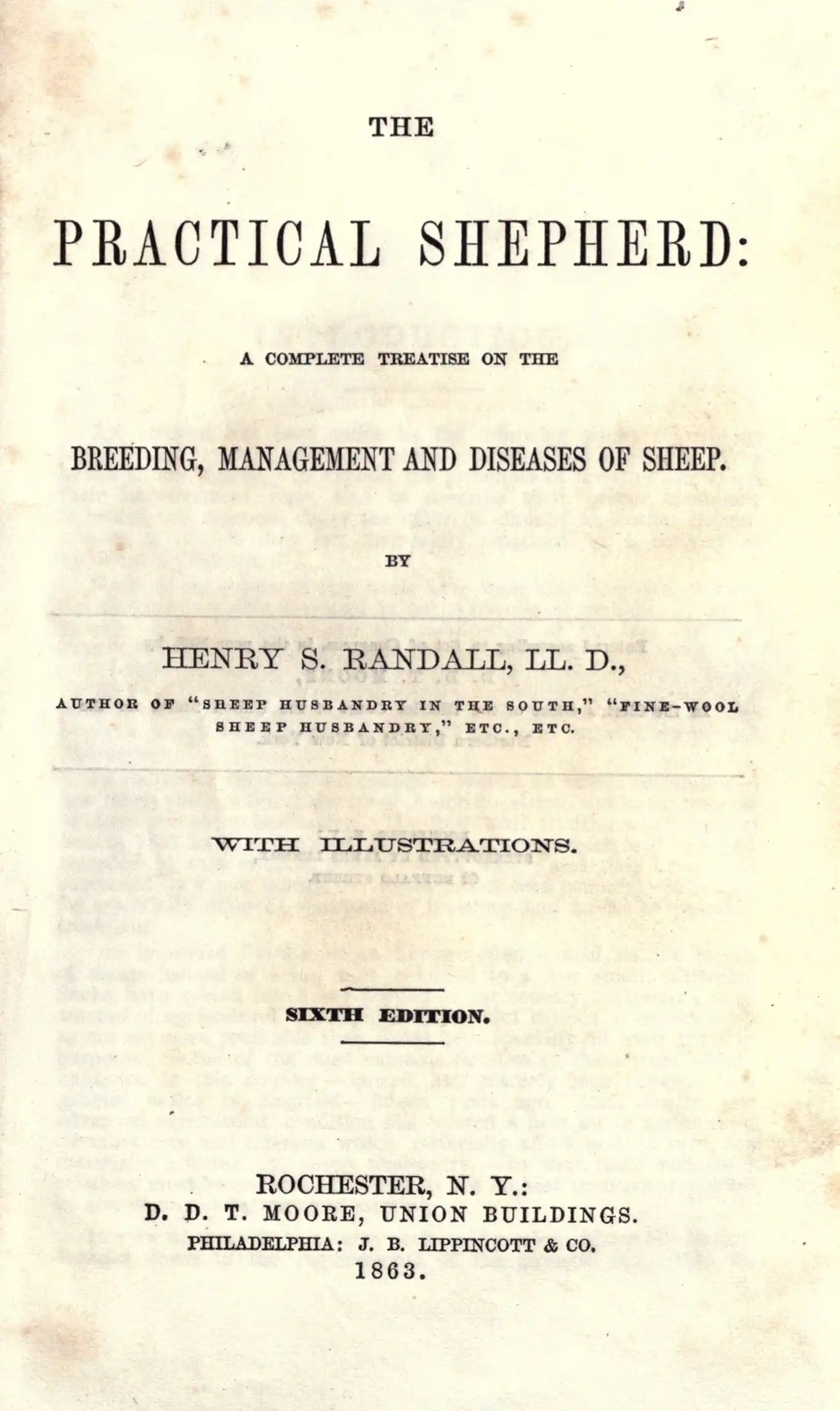 The Special Card Book