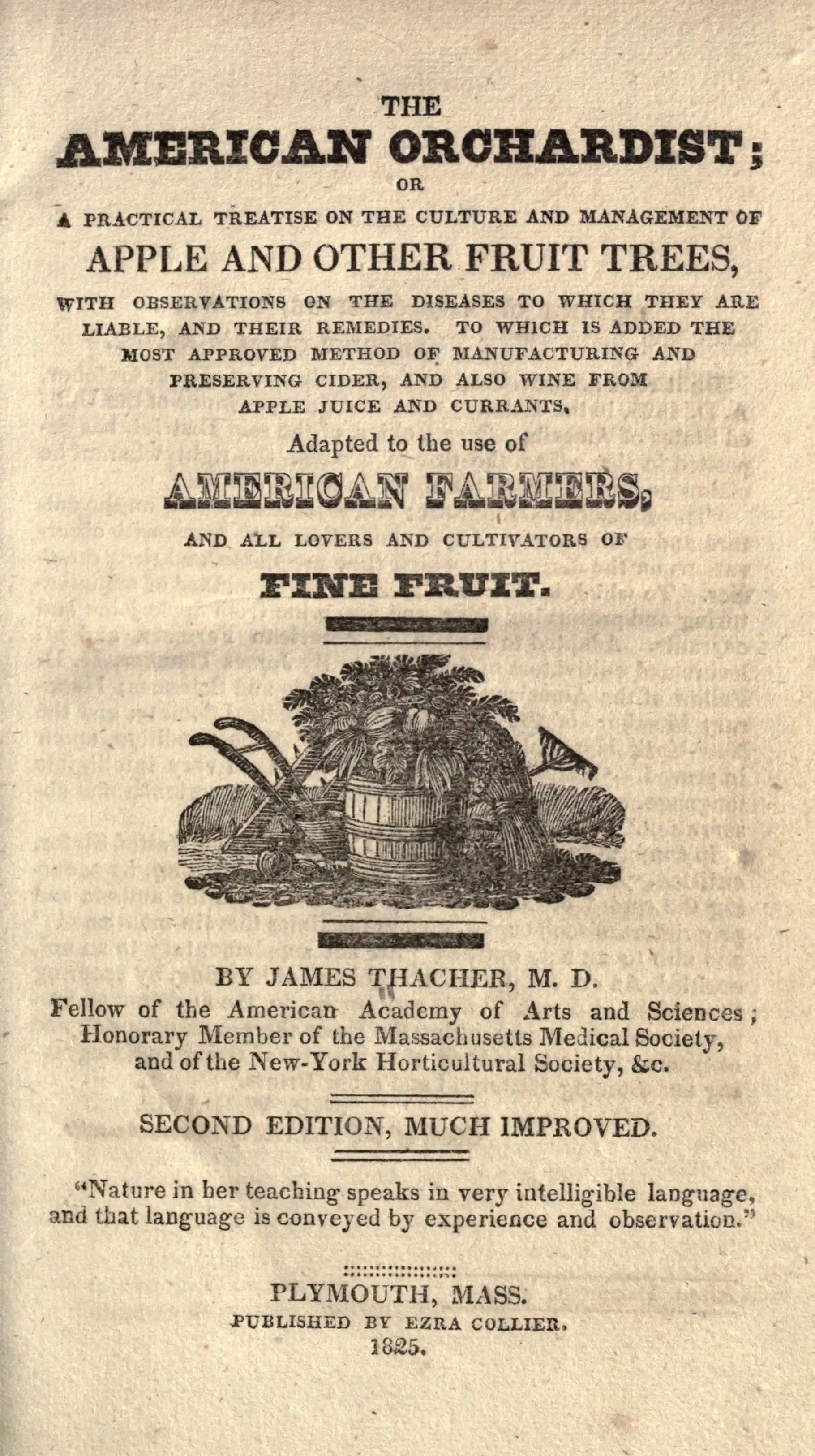 Development and Cultural Change: Reciprocal Processes