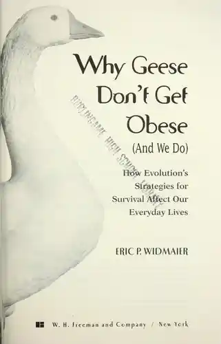 The electricity book