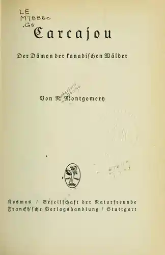 Symmetrie und Schönheit
