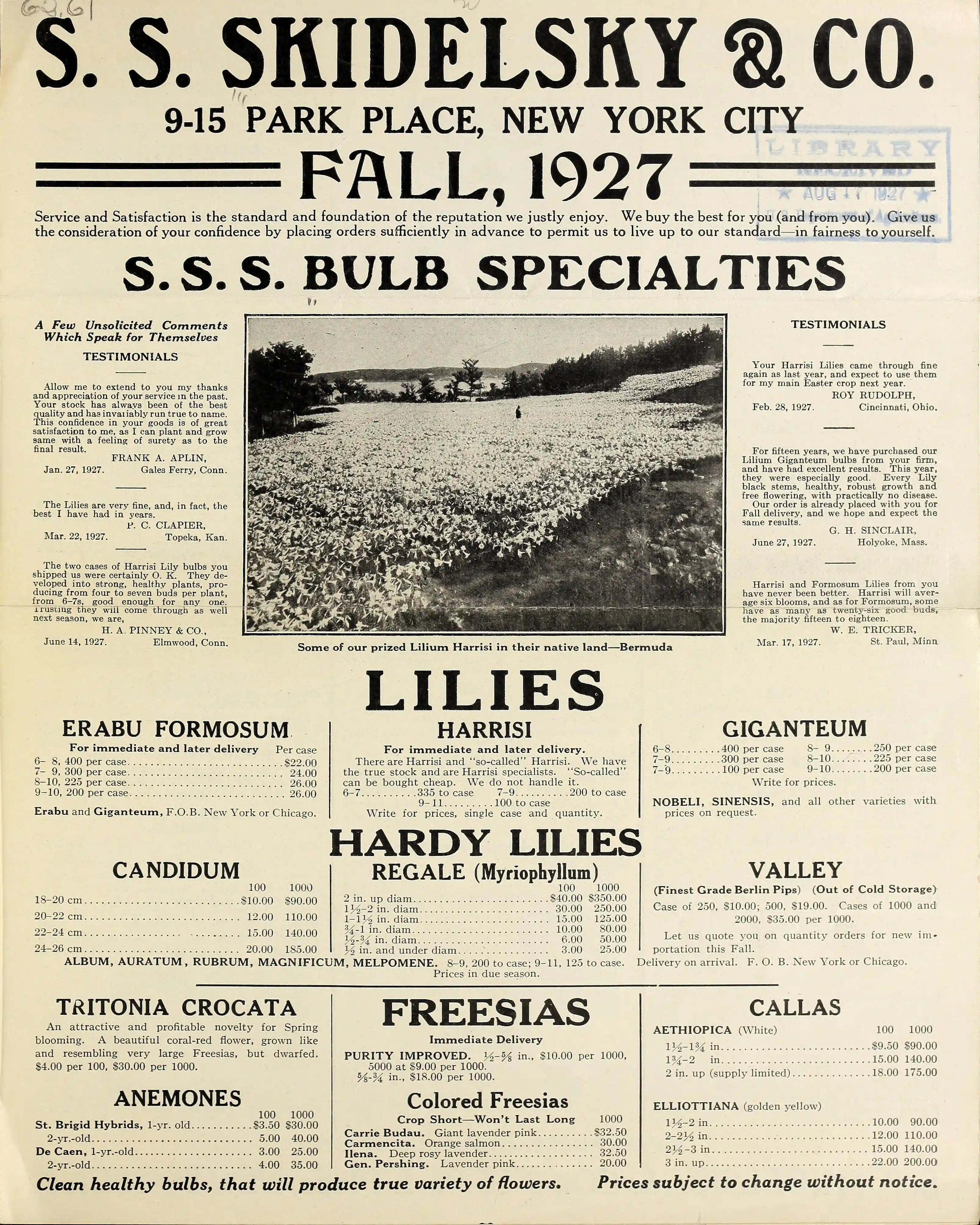 The Women's Co-operative Guild and the second world war