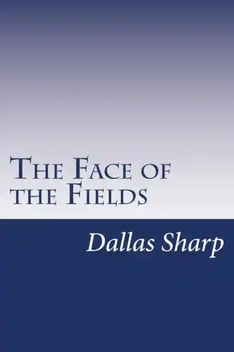 A Night on the Moor and Other Tales of Dread