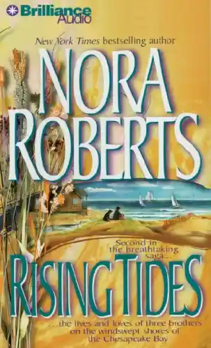 Designing Collaborative Systems