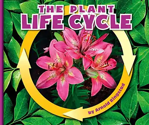 The River Killings