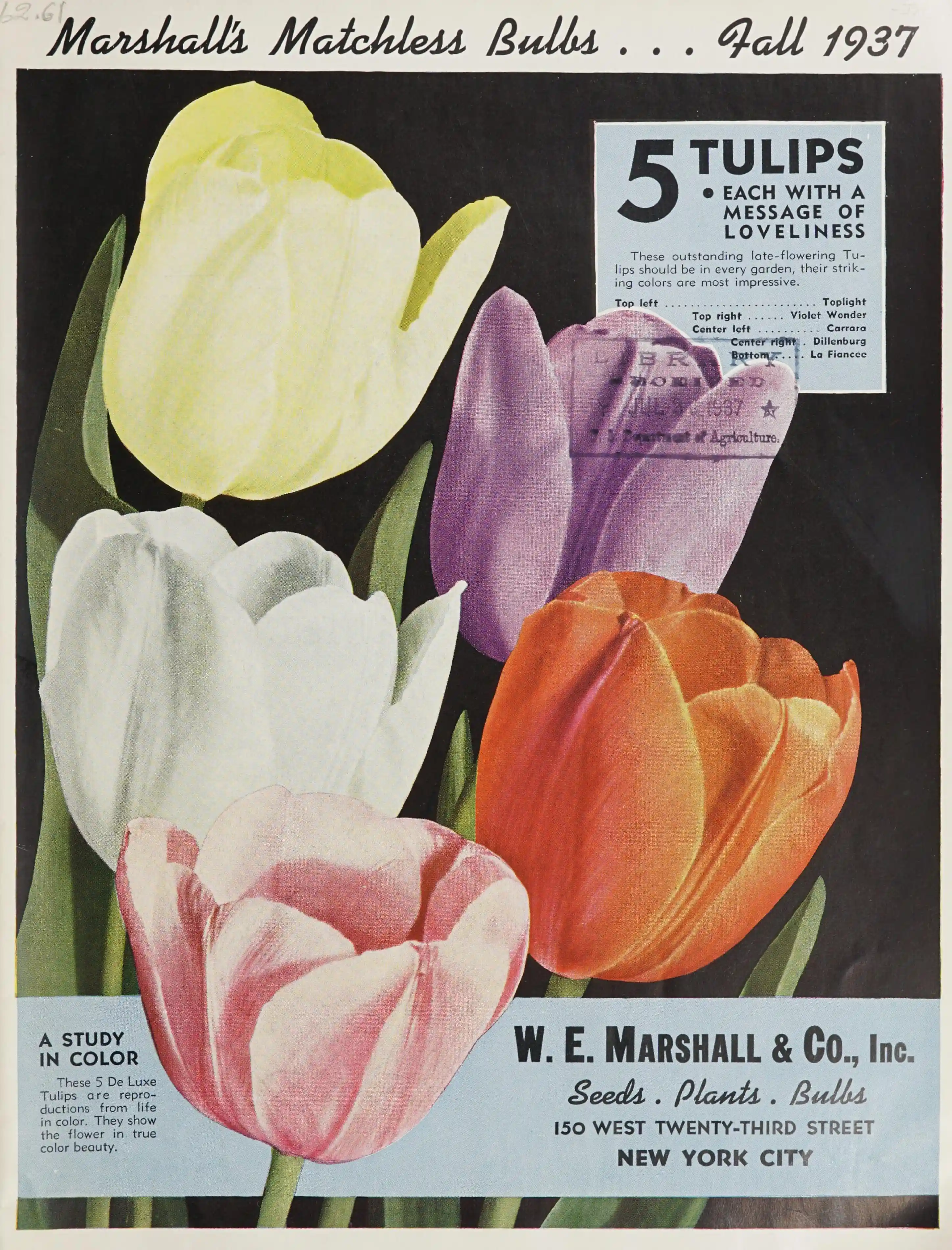 Photographic color printing