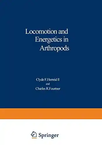 Phenomenology of Polymer Solution Dynamics